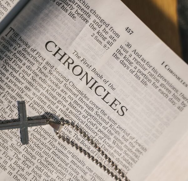 bridge numbers echo chronicle sequence
